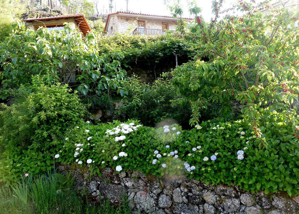 Casa Da Eira Velha Villa Vale de Cambra Luaran gambar
